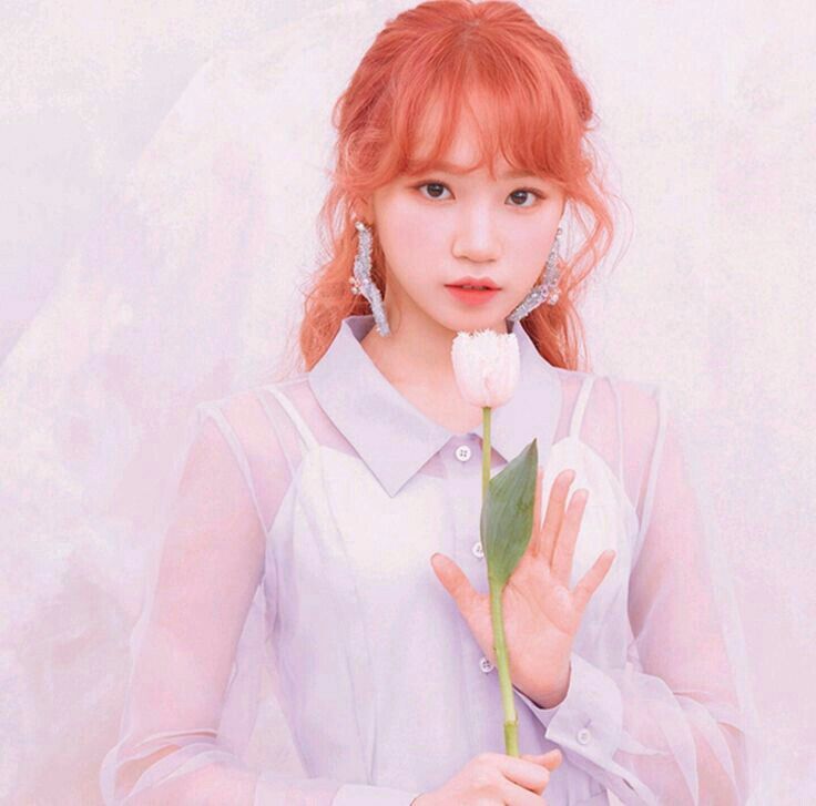 김채원 사진 모음 김채원 사진 모음