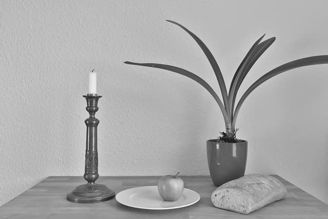 느려도 괜찮아: 학습 자기효능감 높이는 방법