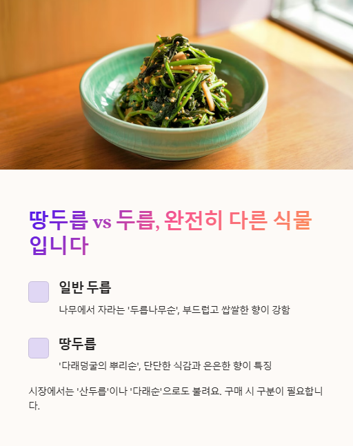 땅두릅 두릅 완전히 다른 식물 입니다