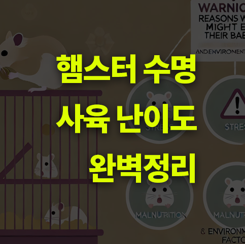 햄스터 수명과 사육 난이도 알아보기.