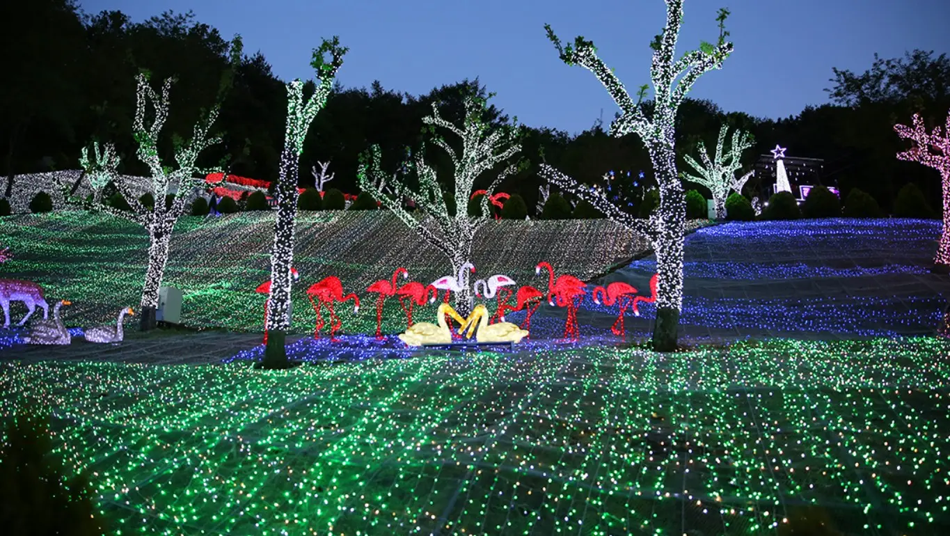 청도 프로방스 빛축제