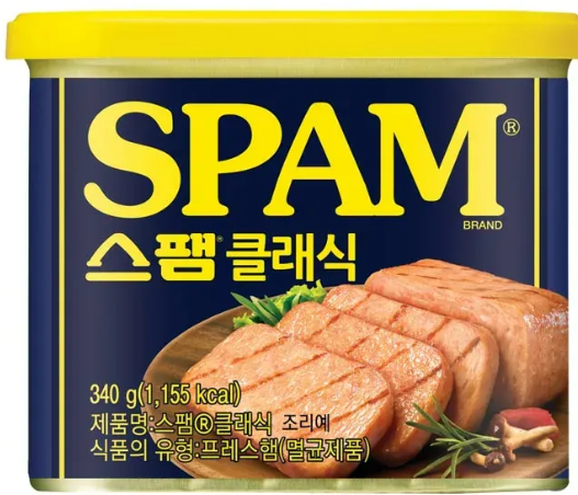 스팸