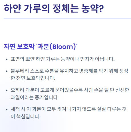 블루베리 세척법