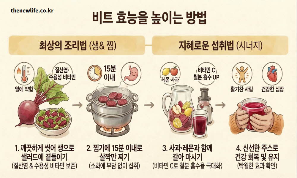 비트 효능 높이는 먹는 방법