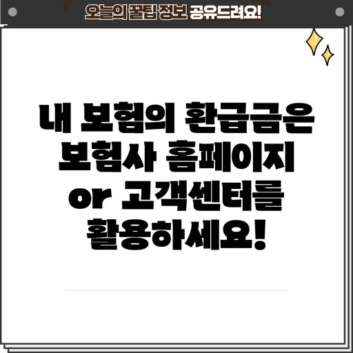 내보험찾아줌