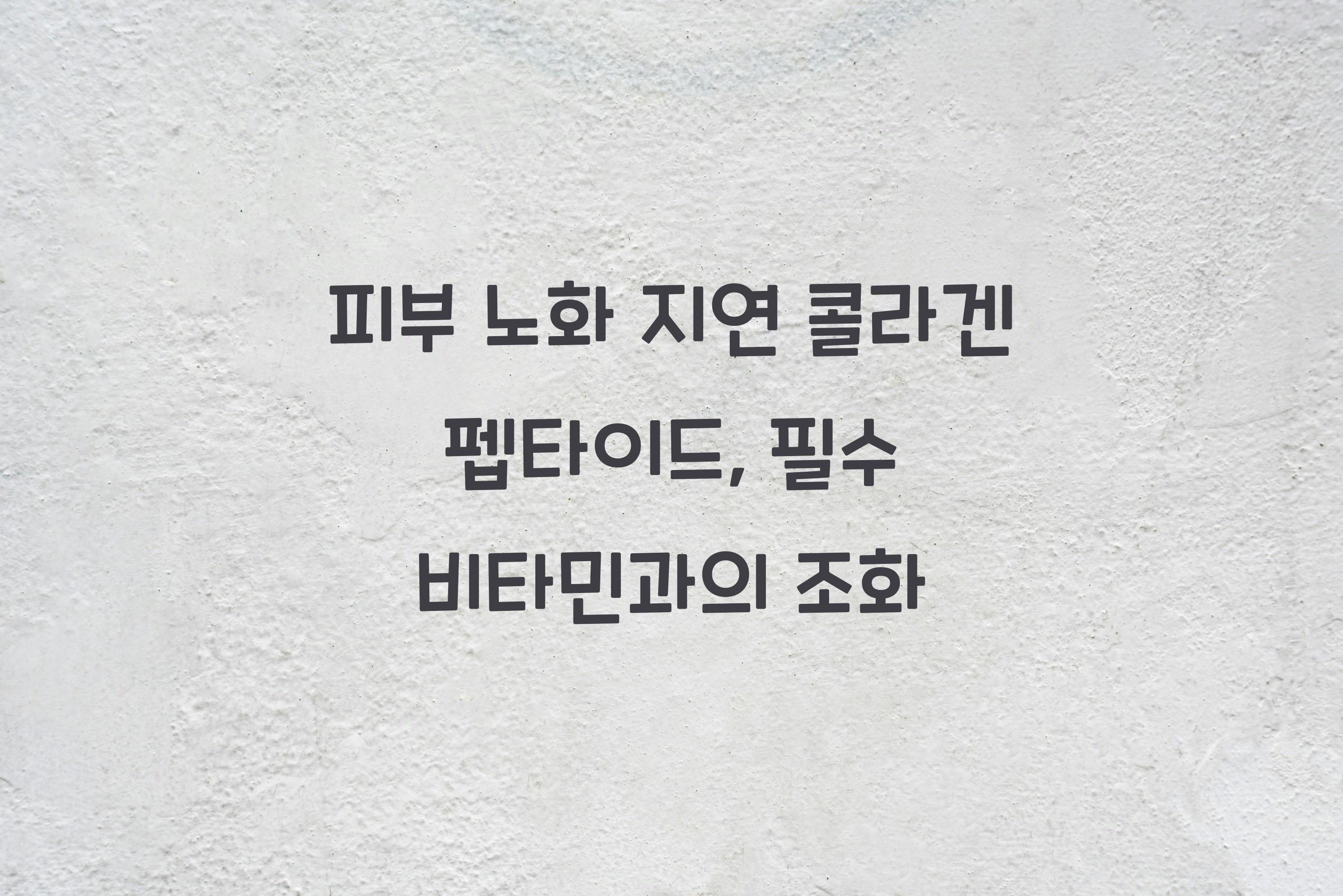 피부 노화 지연 콜라겐 펩타이드