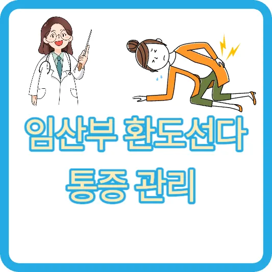 임산부 환도선다 통증 관리 엉치뼈 꼬리뼈 엉덩이 통증