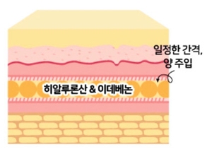 주름크림의 효과와 선택 가이드