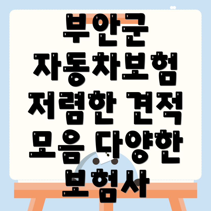 자동차보험 비교견적