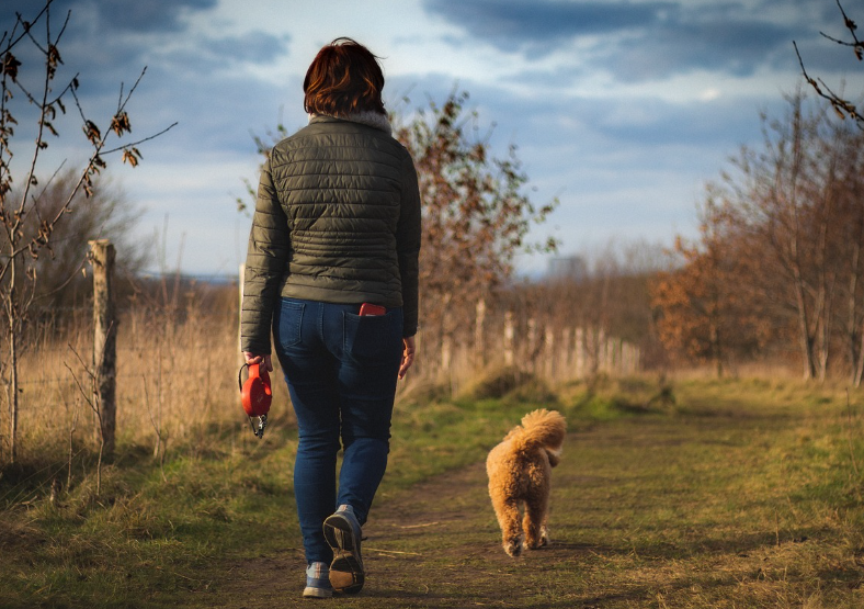 산책하는 강아지와 여성