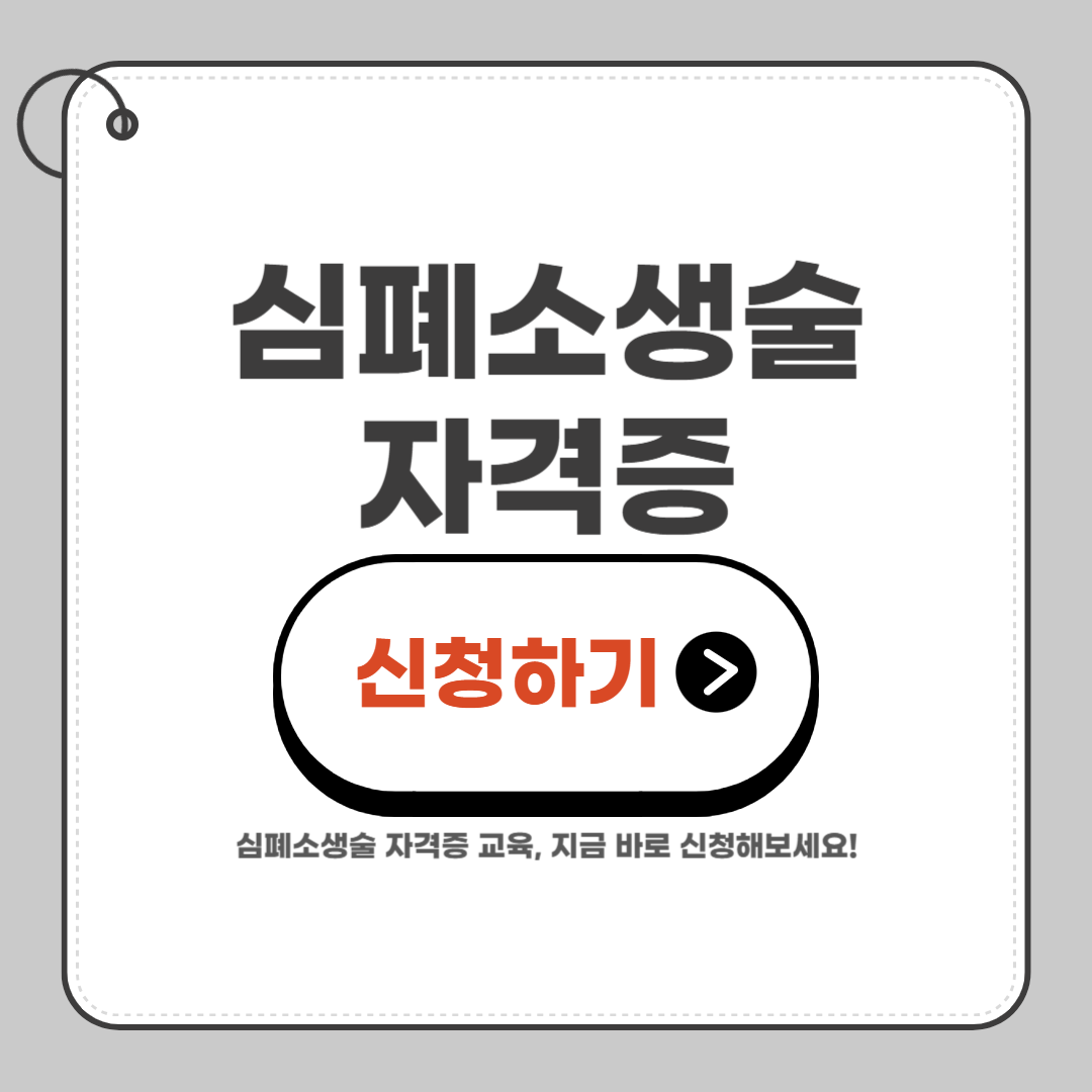 심폐소생술 자격증 (CPR 자격증) 취득방법 총정리 (+2025년)