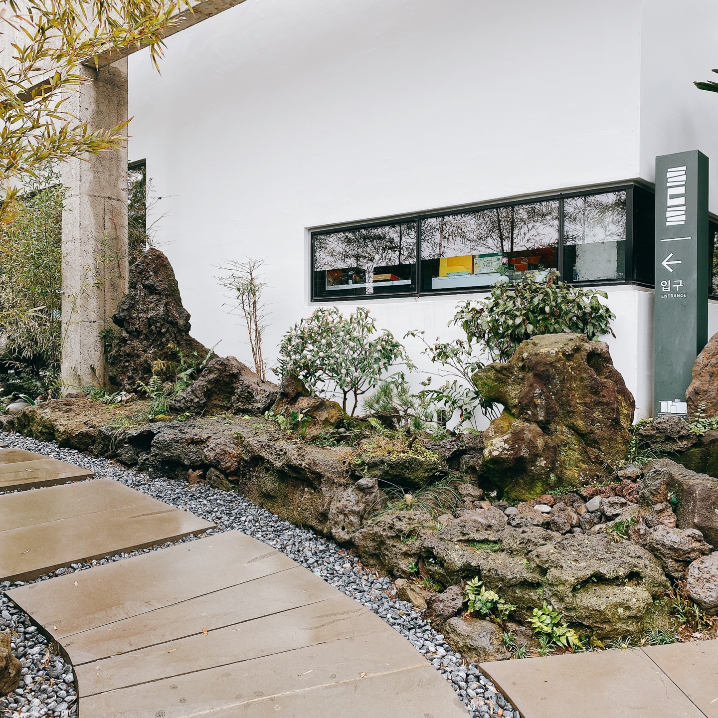 제주 신비마을 도깨비도로 벚꽃명소 레크레 카페