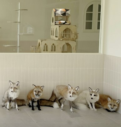 실내동물원-마리앤쥬