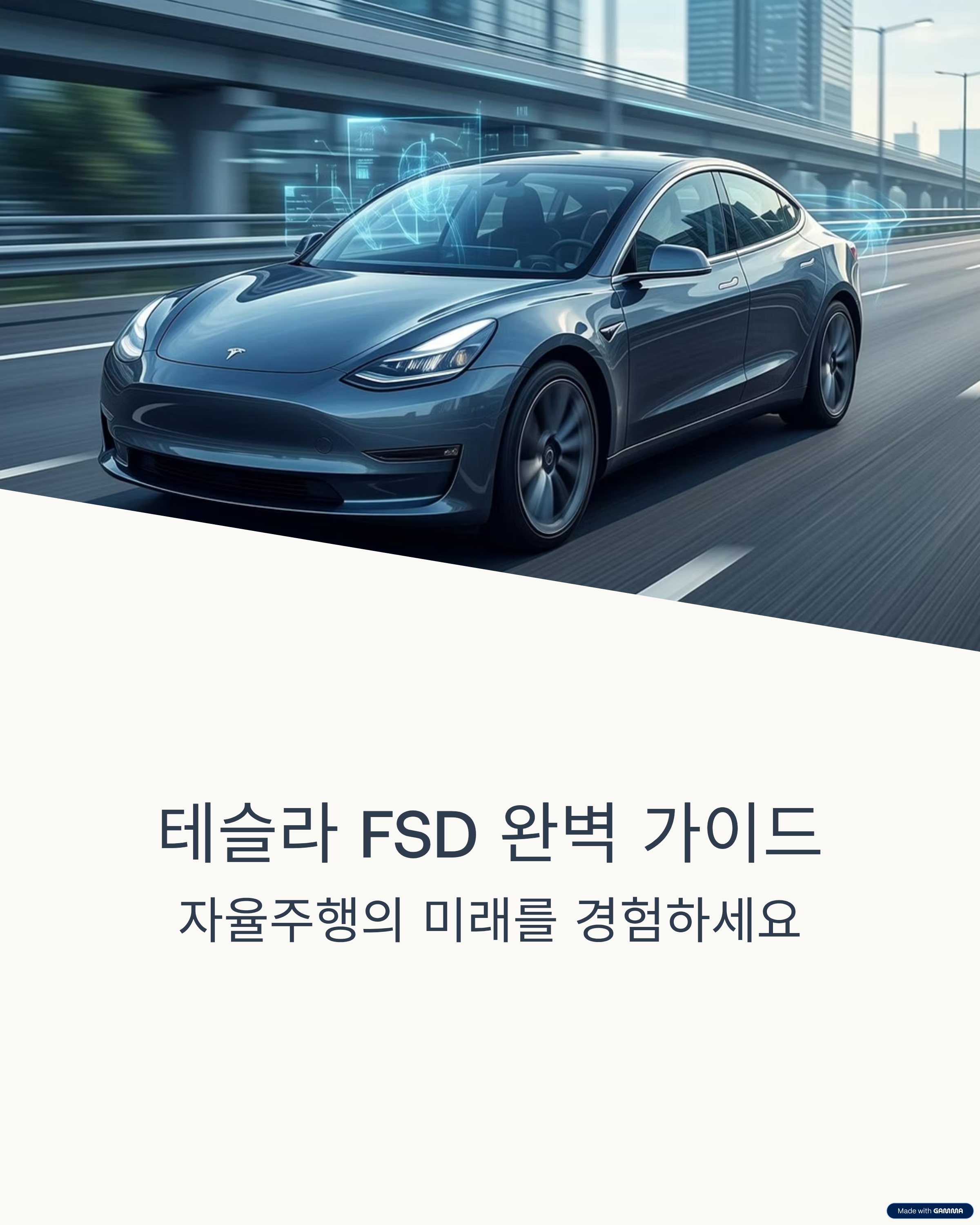 테슬라 FSD