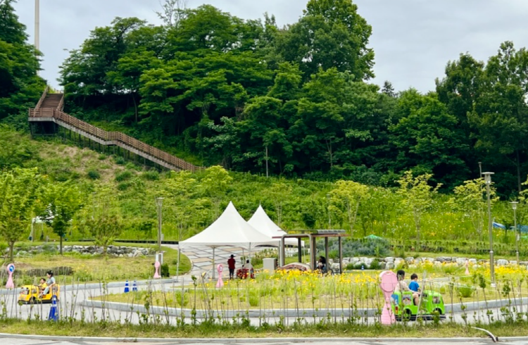 칠곡보 사계절썰매장