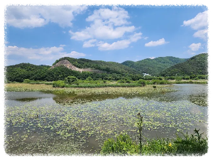 정양늪생태공원