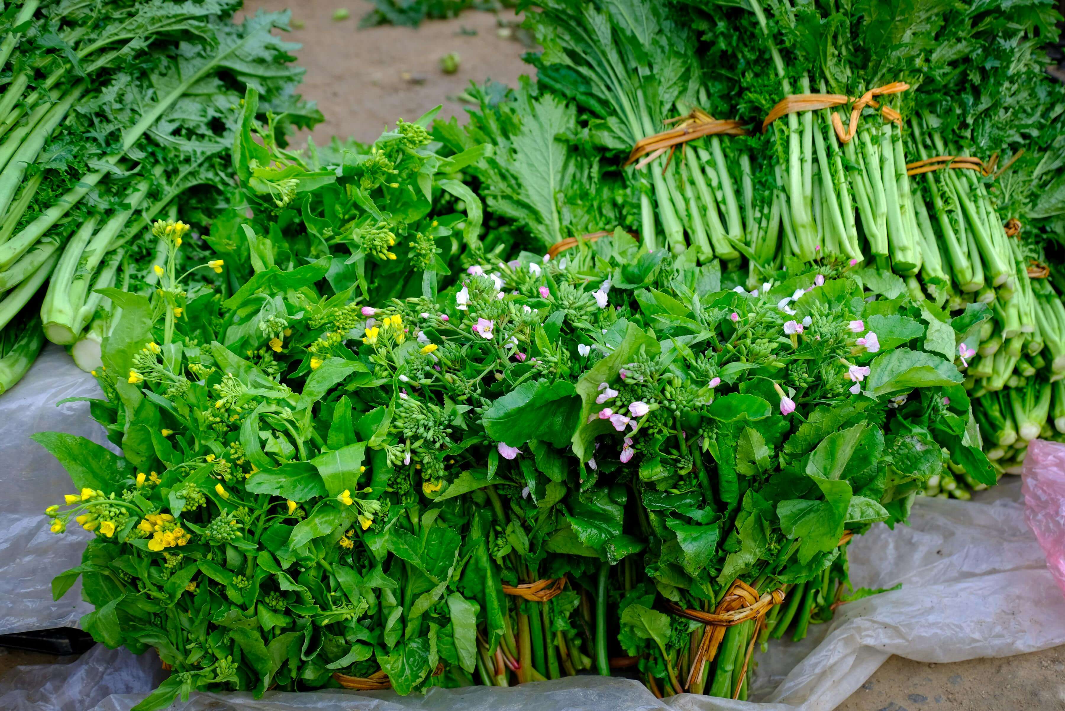 달래 효능 총정리: 봄철 면역력과 혈액순환에 좋은 이유