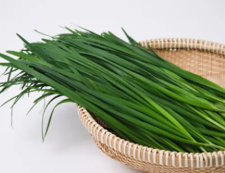부추 효능과 영양성분&amp;#44; 부작용