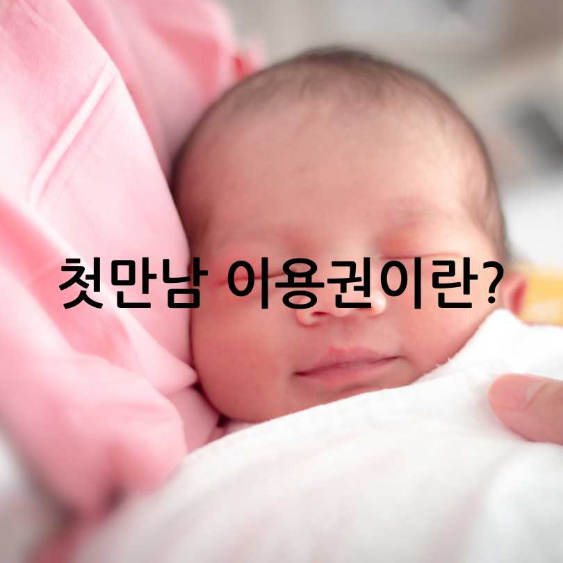 첫만남이용권 신청방법&amp;#44; 사용처&amp;#44; 잔액조회