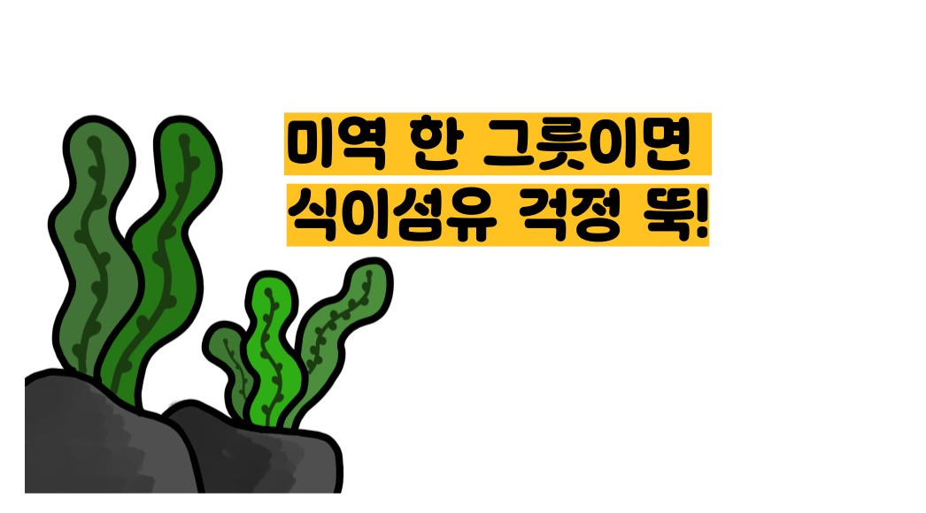 식이섬유가 많은 음식