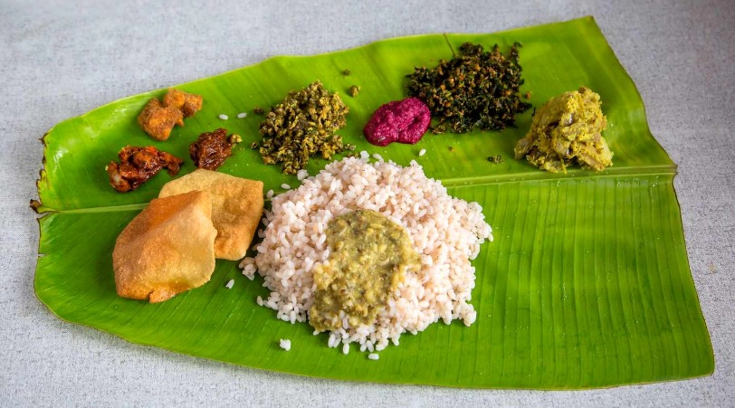 바나바잎 먹는법