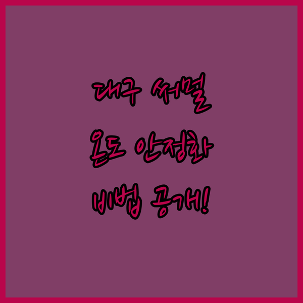 대구에서 만나는 고성능 써멀구리스! ..