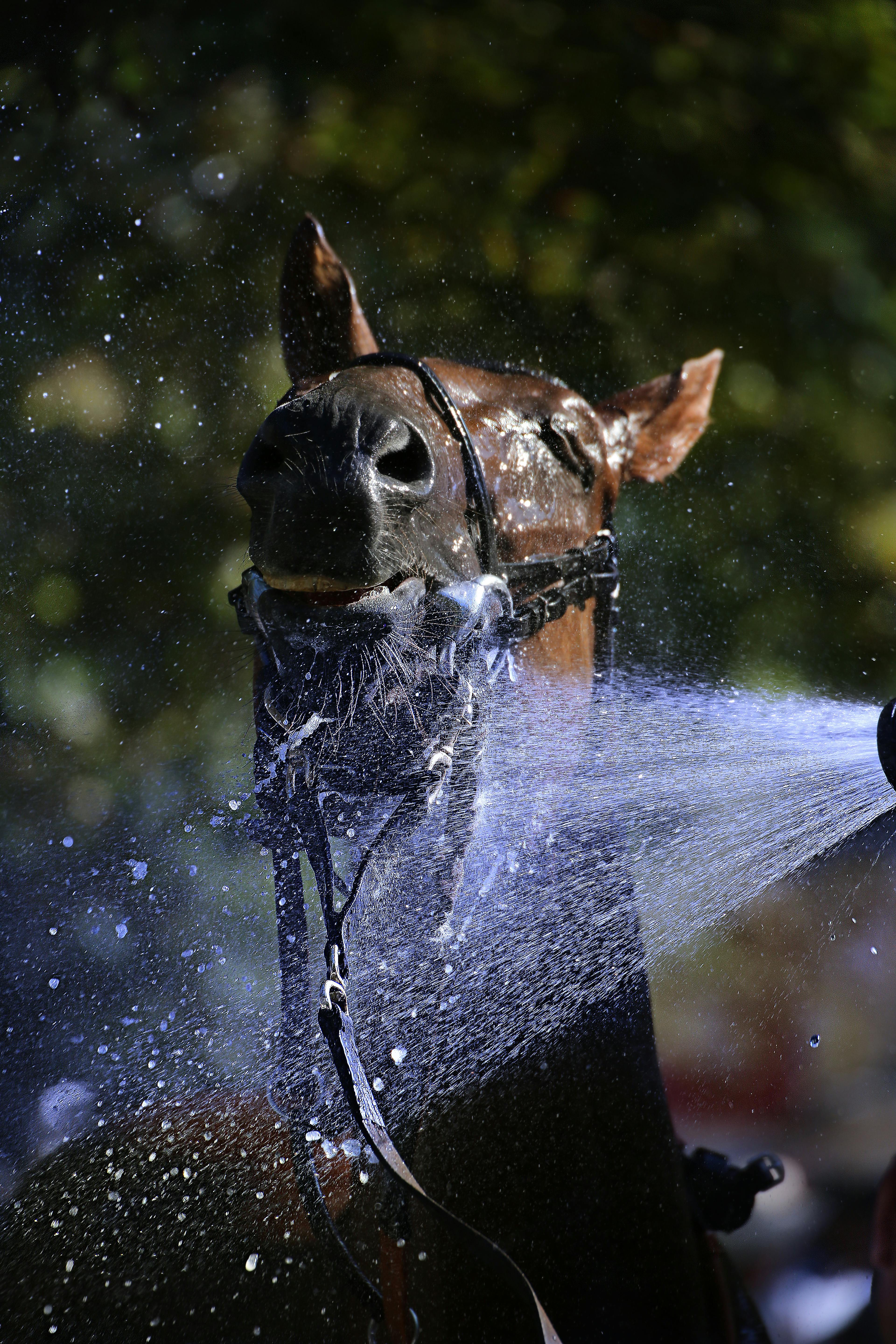 에너지바우처 신청 대상 기간 방법 요약