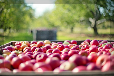 피부 좋아 지는 방법