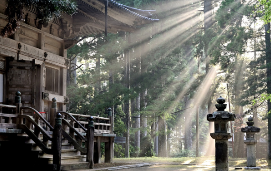 [1-2월 일본 여행 준비물] 날씨. 해외로밍. 교통패스. 추천앱 (2025최신)