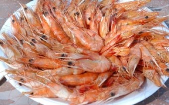 홍성 남당항 대하축제