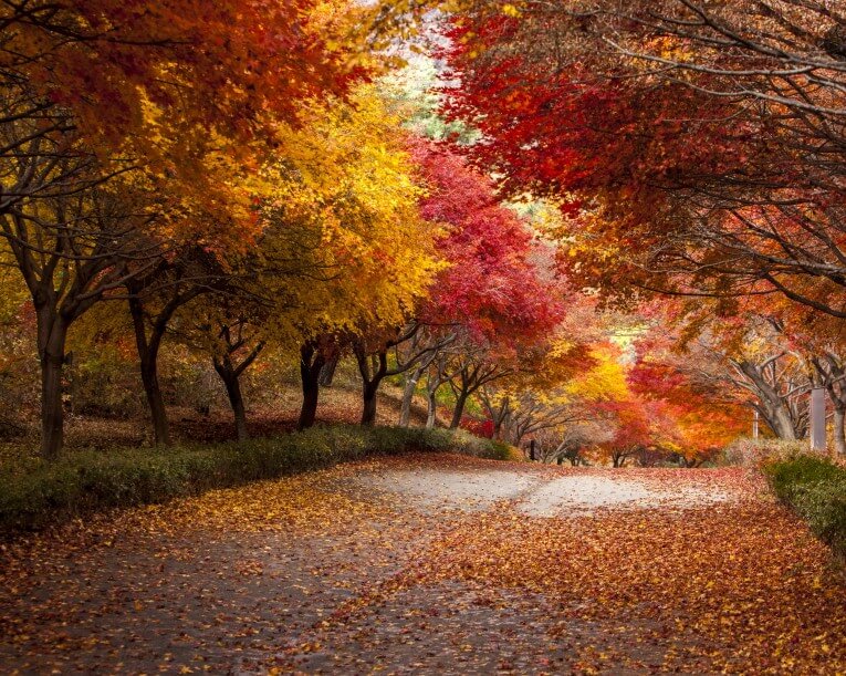 가을 단풍 명소 추천