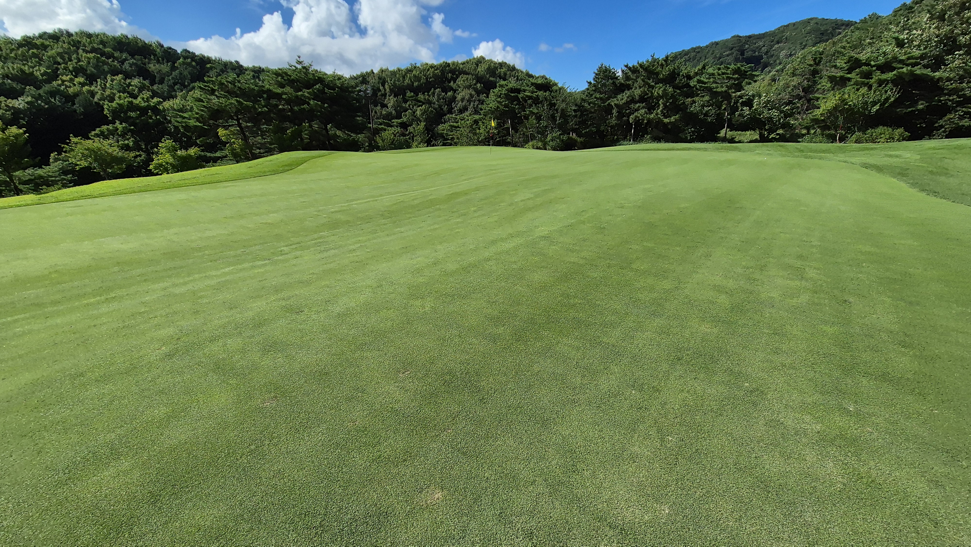 SG 아름다운cc 라운드 후기