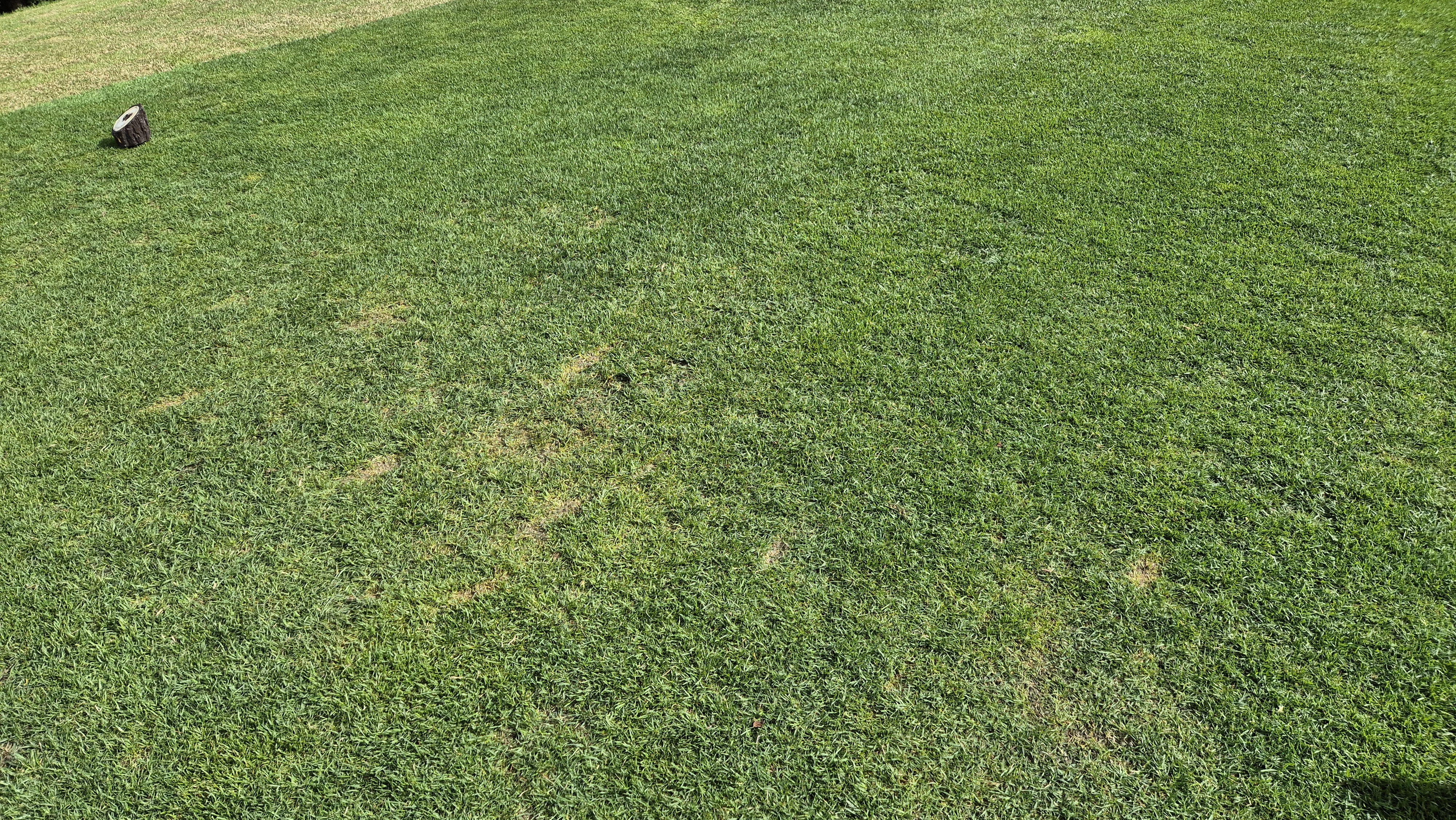 파크밸리gc 라운드 후기