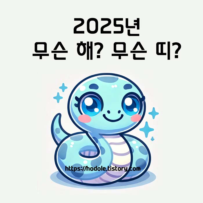 2025년 무슨해 무슨띠