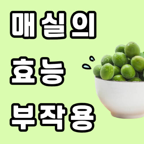 매실-효능-부작용-썸네일