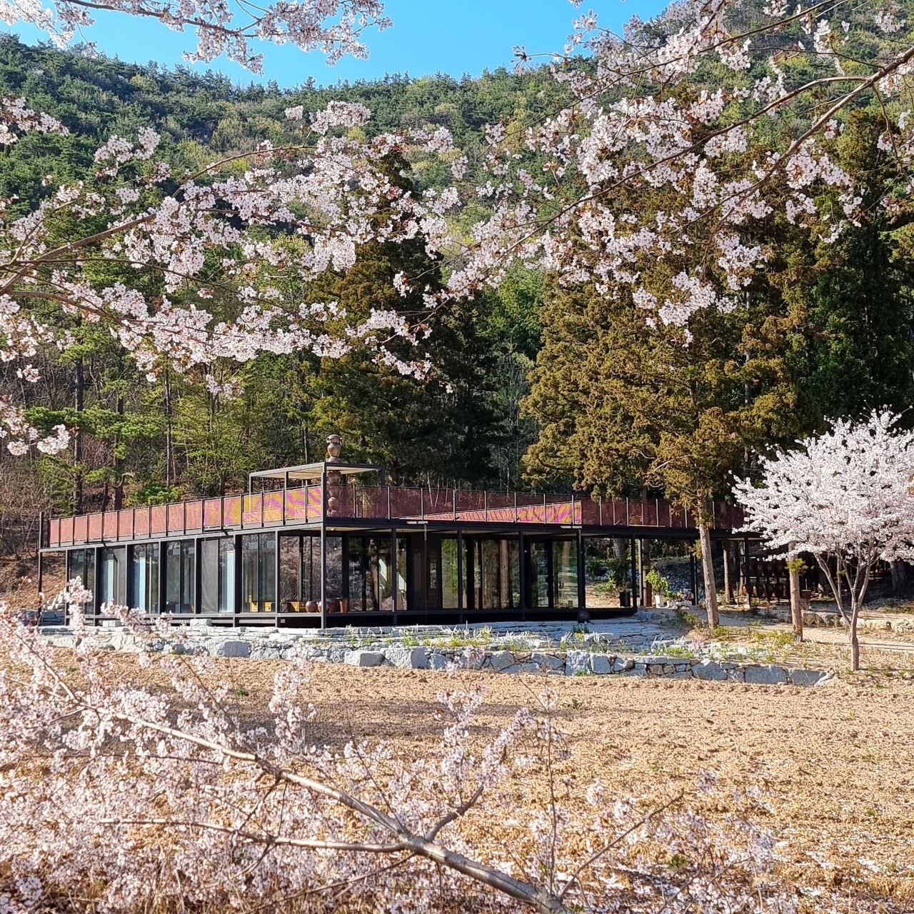 초루