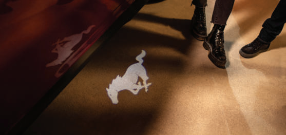 머스탱 7세대 가격과 옵션 정리! 당신에게 맞는 모델은?