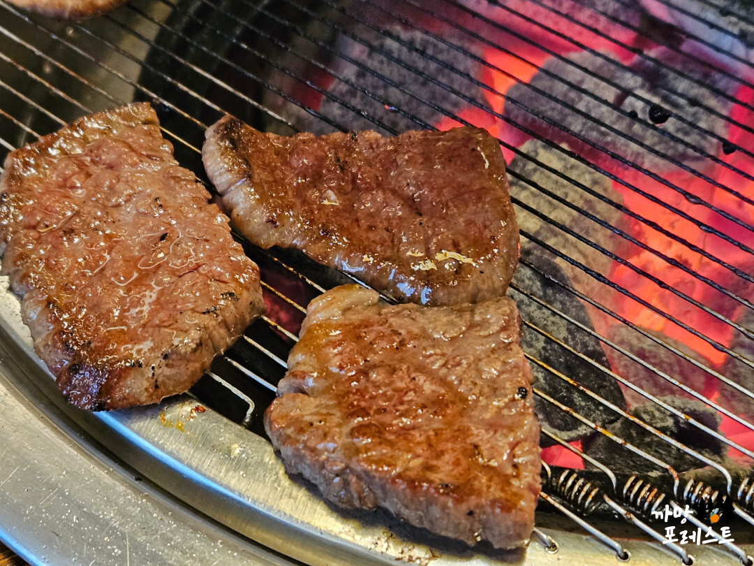영통 태백 한우 실비 소고기