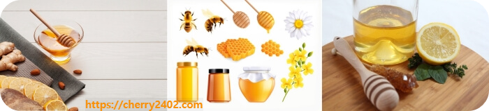 꿀의 효능 보관방법 유통기한