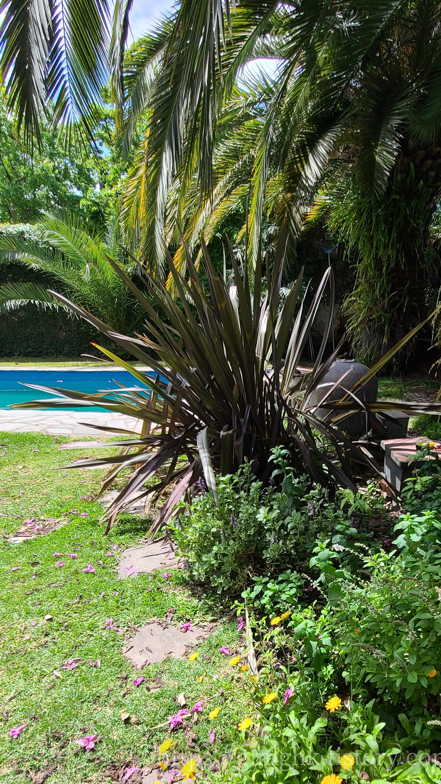 아르헨티나 날씨 10월 봄