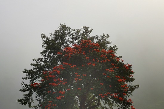 2024년 장마, 시기/기간/강우량/장마대비/건강관리/교통대비/장마와 휴가