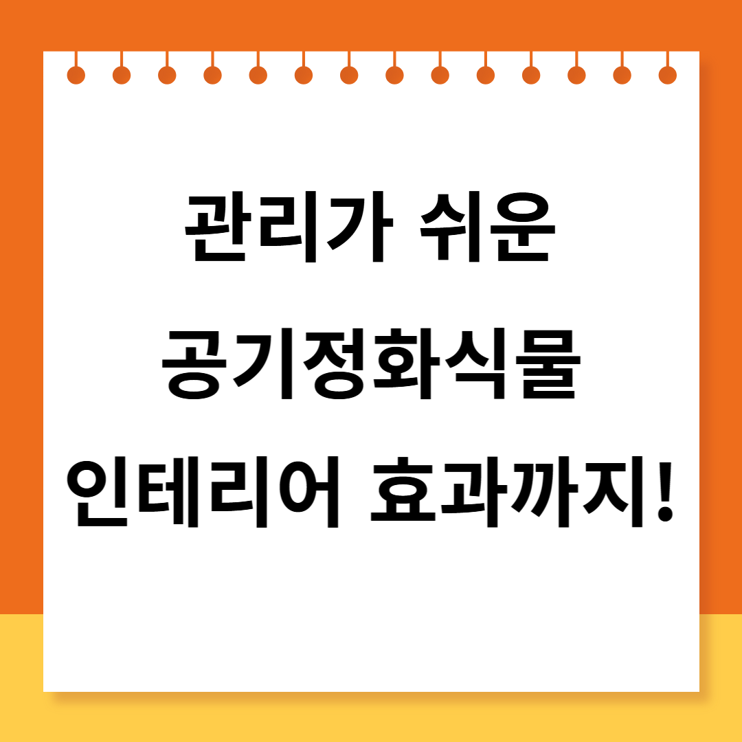 공기정화식물