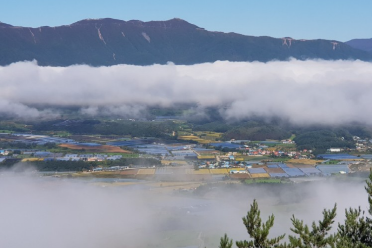 DMZ 펀치볼 둘레길