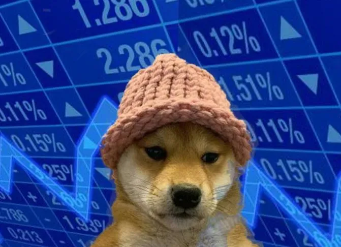 도그위프햇코인-심볼