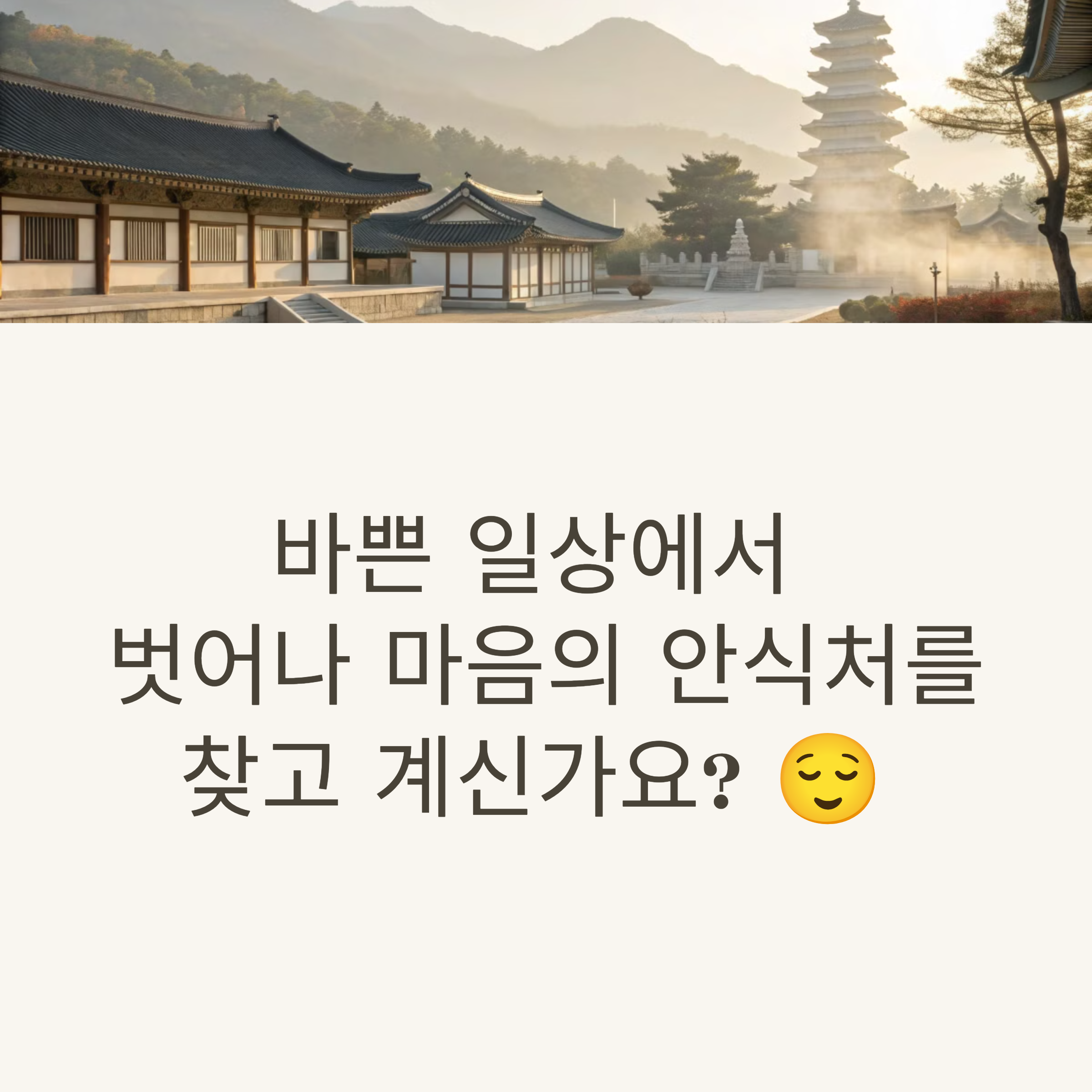 용문사 템플스테이 가격, 어떻게 되나요? 예약 전 꼭 알아야 할 사실들!