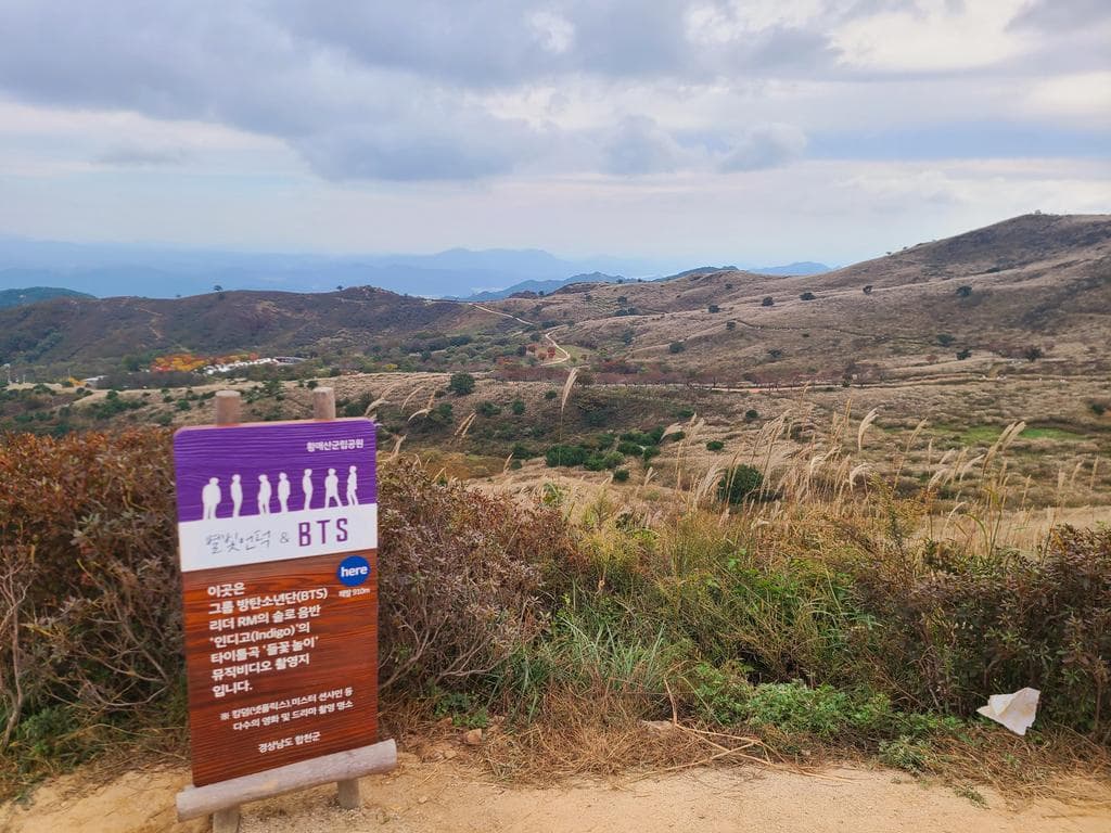 [경남 합천] 지역 가을 축제❘황매산 억새 축제❘기간, 일정, 실시간 개화 현황