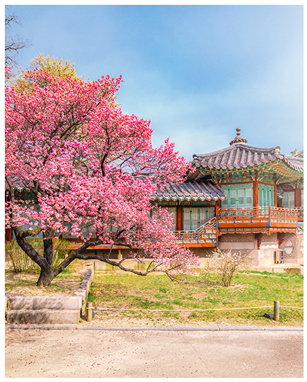 왕가의 길