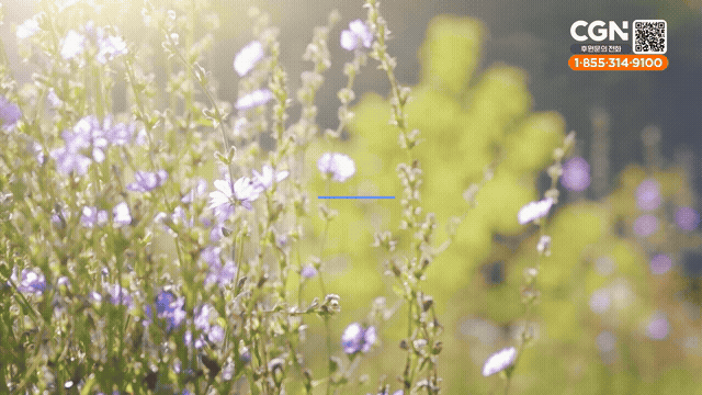 From Loss to Repentance