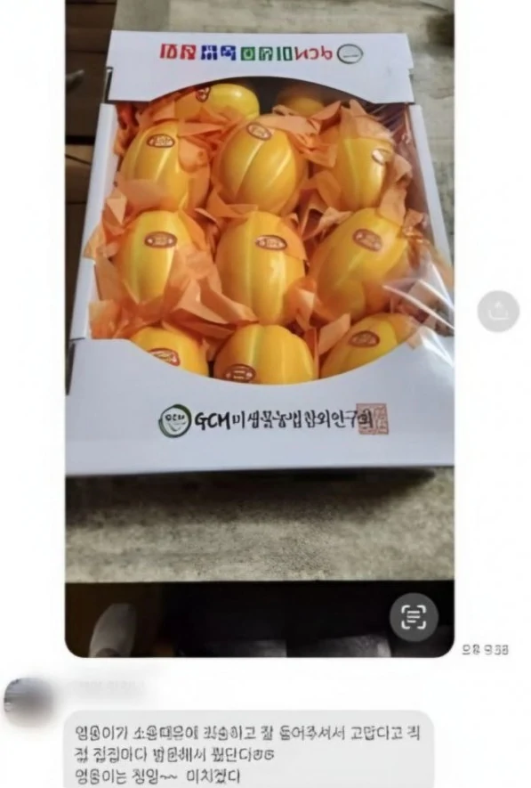 &quot;콘서트 연습 소음, 죄송&quot;...임영웅, 주민에 직접 참외 배달