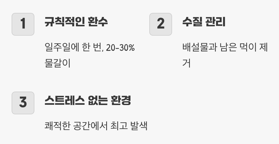 깨끗한 집이 선명한 색을 만든다, 환경의 힘